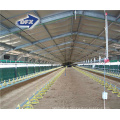 China galvanized steel frame poultry farm structures chicken feed house building